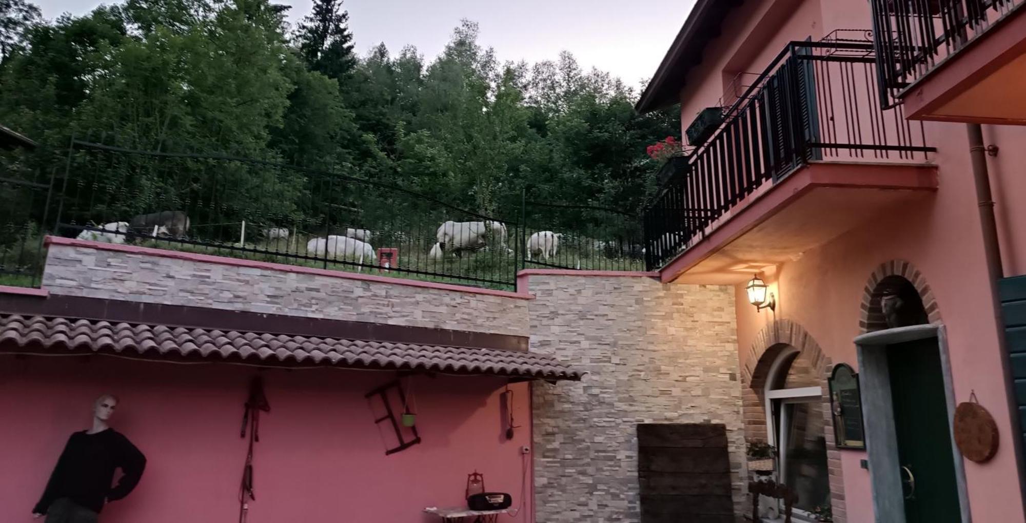 B&B Casa Dell'Orso Lurisia Exteriér fotografie